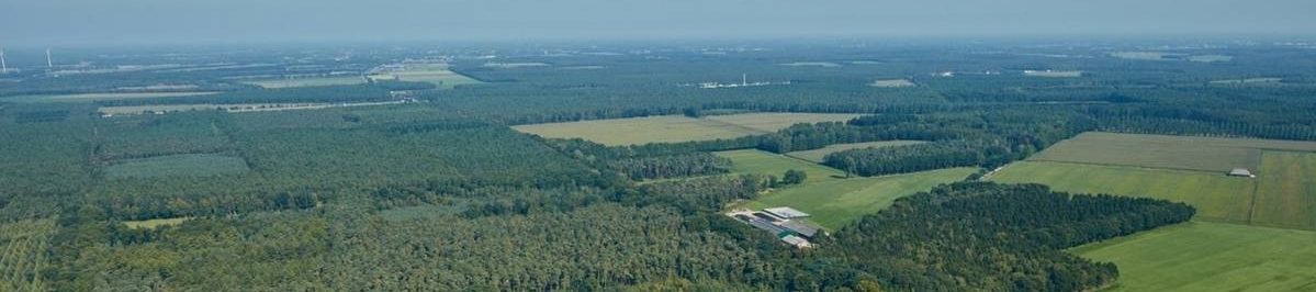 Mol-postel