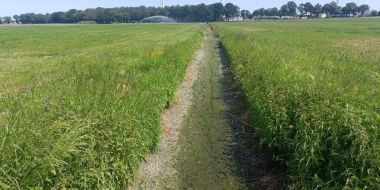 Droogte in het Maasbekken